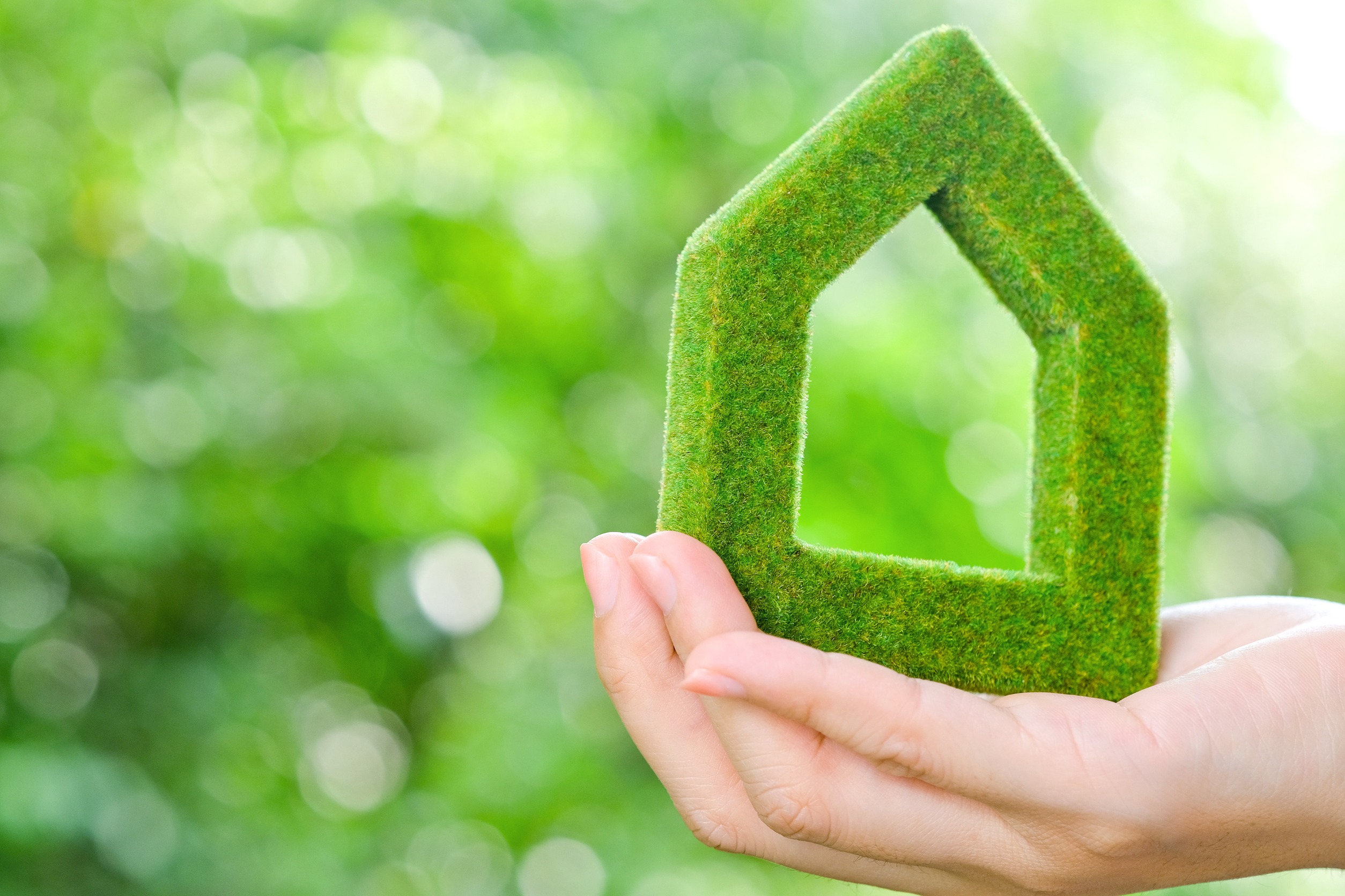 Eco-friendly Hotel Practices: Embracing Digital Solutions